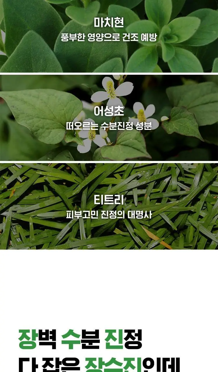 [속보습/100시간] 아이소이 모이스춰닥터 장수진 수분앰플 40ml 상세페이지 14